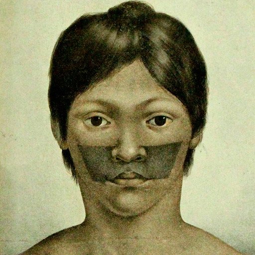 &Iacute;ndio Juri. &ldquo;Natureza, Doen&ccedil;as, Medicina e Rem&eacute;dios dos &Iacute;ndios Brasileiros&rdquo; (1844), de Carl Friedrich Philipp von Martius (1794-1868), um dos mais importantes pesquisadores alem&atilde;es que estudaram o Brasil, especialmente a regi&atilde;o amaz&ocirc;nica. Livro publicado pela Companhia Editora Nacional, S&atilde;o Paulo, 1939, digitalizado pelas Plataformas Virtuais…